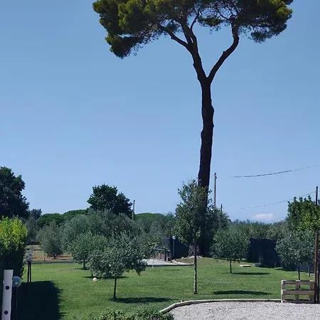 アパート Da Barbara & Simone Collemezzano