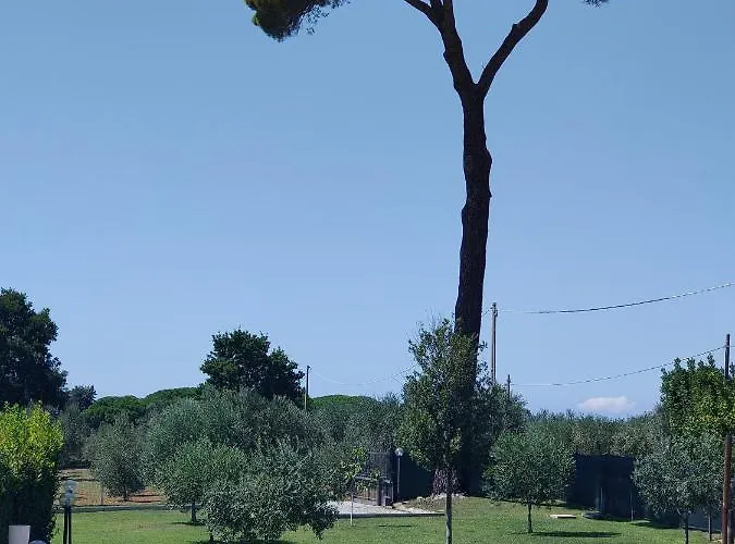 Апартаменты Da Barbara & Simone Collemezzano